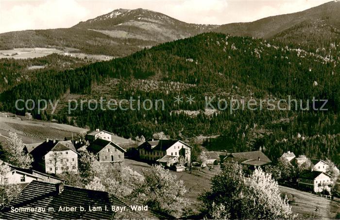 Sommerau Bayern Panorama mit Arber