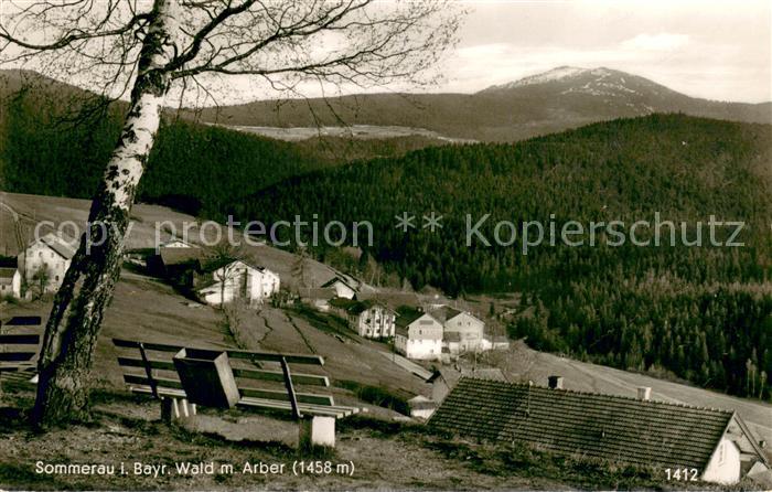 Sommerau Bayern Panorama mit Arber