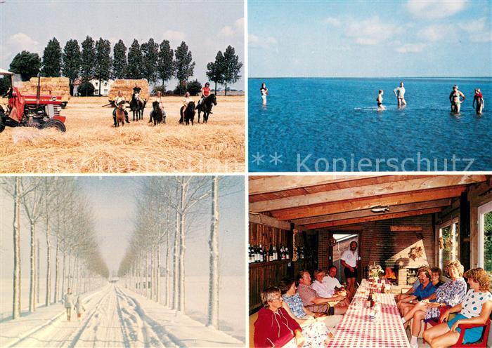 Kaiser-Wilhelm-Koog Kurse Hof Ponyreiten Badespass Allee Gaststube