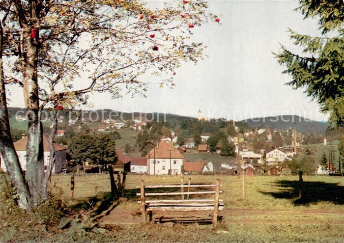 Spiegelau Ortsansicht