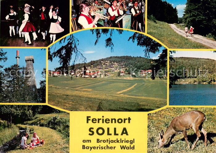 Solla Wald Trachtengruppe Waldweg Panorama Aussichtsturm Picknick Reh Seeblick