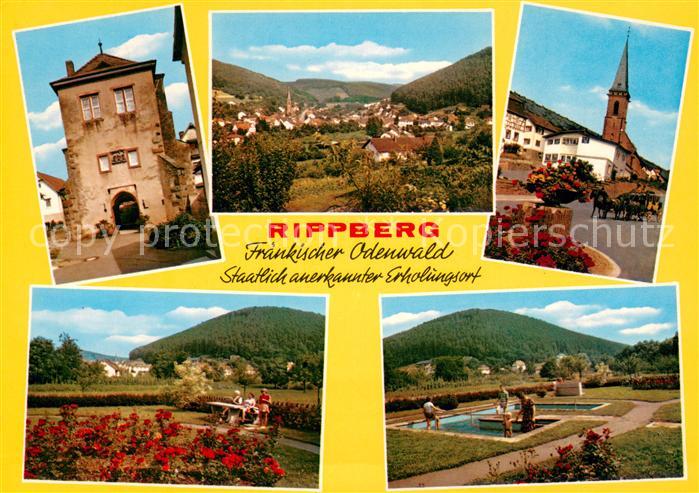 Rippberg Stadttor Panorama Kirche Park Wassertretanlage