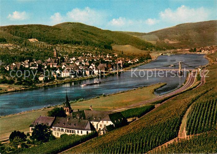 Wehlen Mosel Panorama