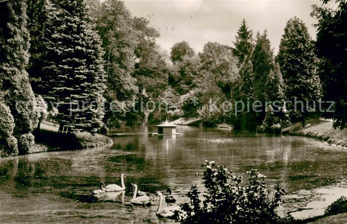 Einbeck Niedersachsen Kraehengraben Schwanenteich