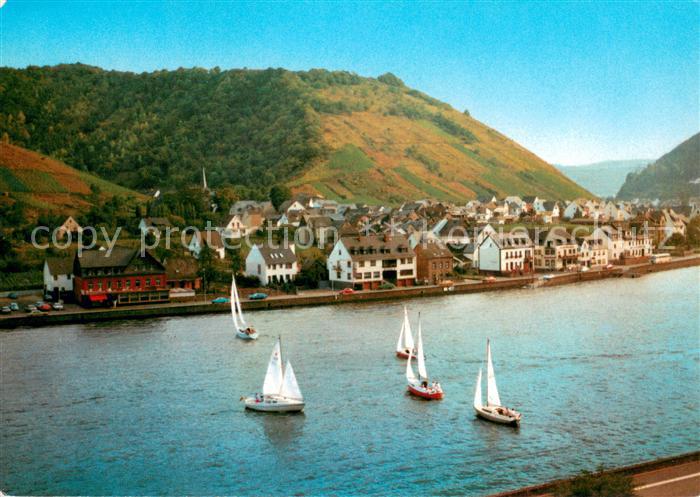 Oberfell Blick ueber die Mosel Segelboote