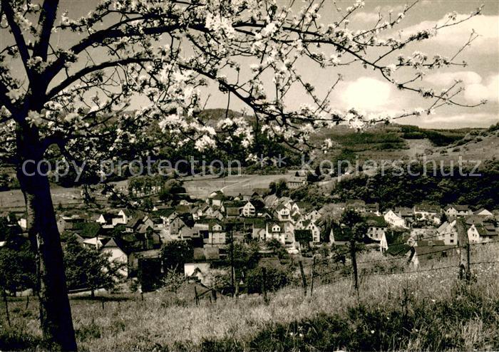 Niederbreitbach Panorama Blick vom Besenacker Baumbluete Luftkurort im Wiedtal