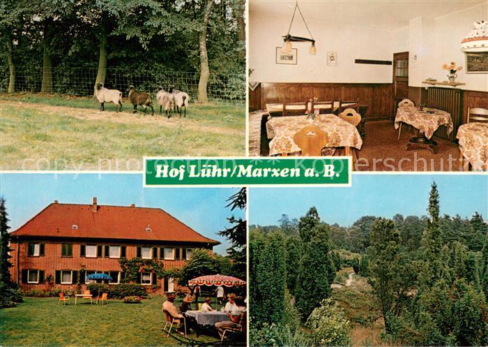 Marxen Berge Hof Luehr Lueneburger Heide Schafe Urlaub auf dem Bauernhof