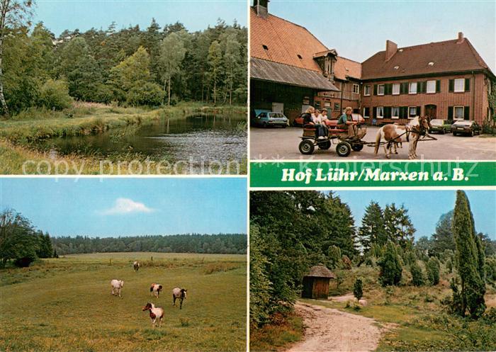 Marxen Berge Hof Luehr Lueneburger Heide Schafe Urlaub auf dem Bauernhof