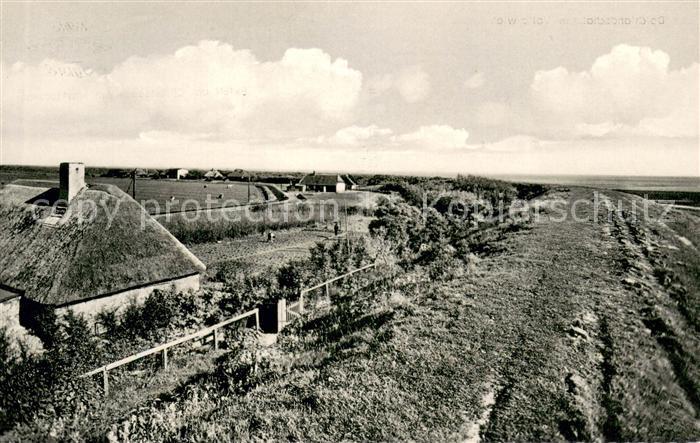 Vollerwiek Deichlandschaft