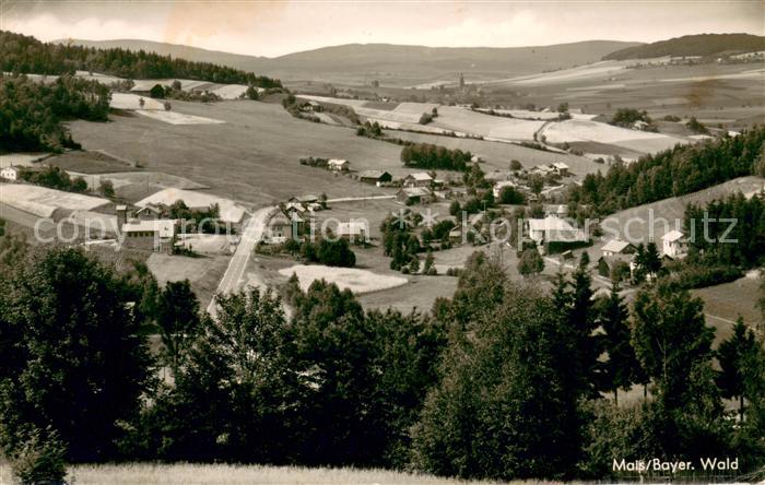 Mais Bodenmais Panorama