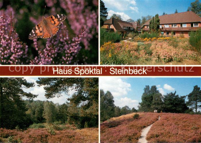 Steinbeck Luhe Haus Spoektal Heidelandschaft
