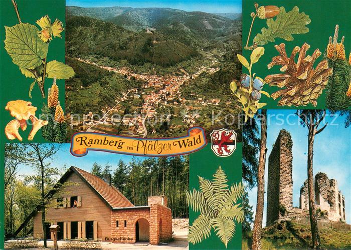 Ramberg Fliegeraufnahme Burgschenke Burgruine