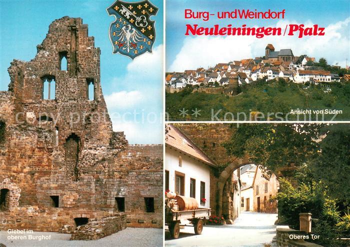 Neuleiningen Giebel im oberen Burghof Panorama Oberes Tor