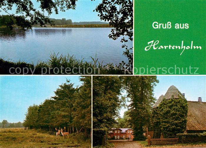 Hartenholm Seepartie Rothirsche Reetdachhaus