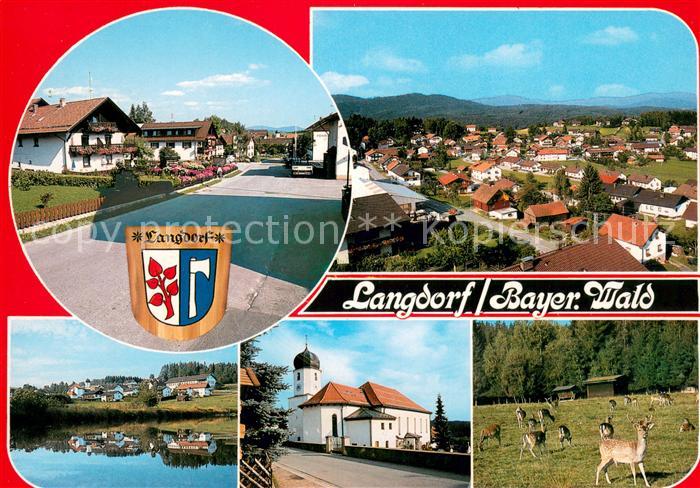 Langdorf Regen Strassenpartie Fliegeraufnahme See Kirche Wildgehege