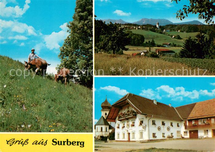 Surberg Bergwiese Panorama Gasthaus Surberg