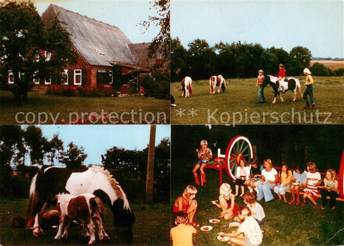 Wesenberg Holstein Ponyhof Hesseling Details