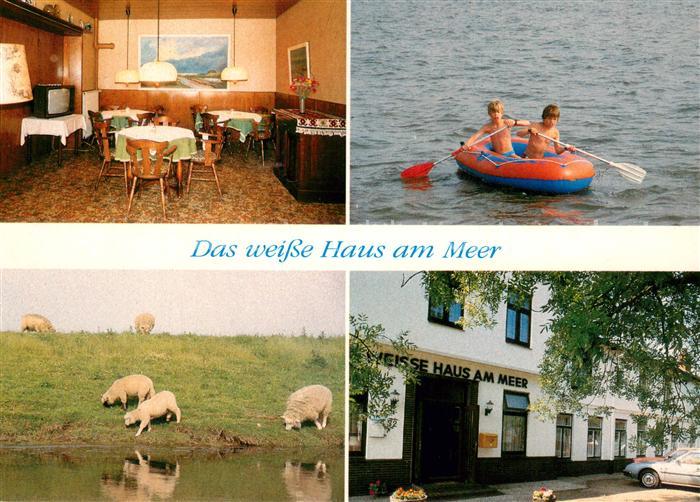 Warwerort Das weisse Haus am Meer Gaststube Schafe Schlauchbootfahrt