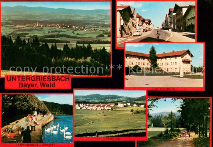 Untergriesbach Niederbayern Panorama Bayerischer Wald Ortsansichten Waldweg Ufer