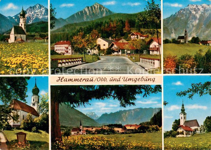 Hammerau und Umgebung Feldkirchen Johannishoegl Ainring Bicheln Ulrichshoegl Alp