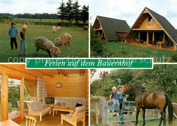 Moenkebuell Ferien auf dem Bauernhof Ferienhaeuser Schweine Pferde