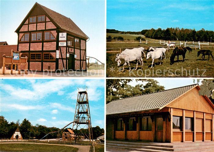 Dwergte Molbergen Dwergter Spieker Ponyhof Pferdekoppel Reitanlage