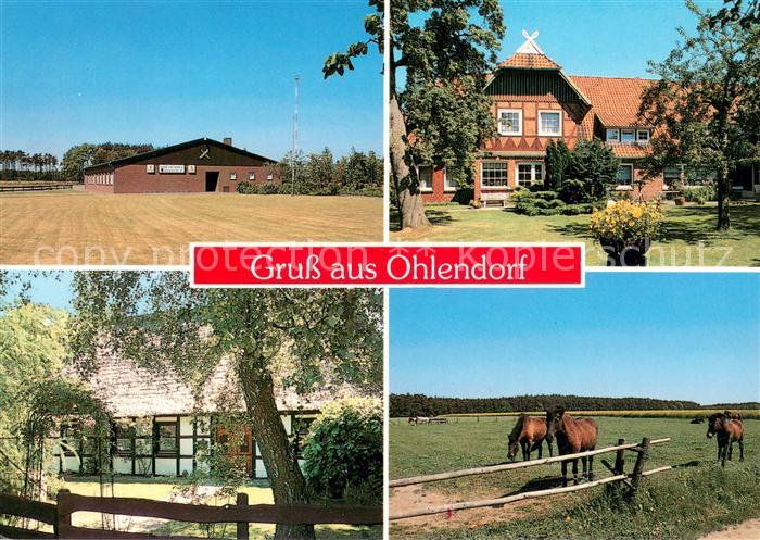 Ohlendorf Buchwedel Schuetzenhaus Reitanlage Pferdekoppel