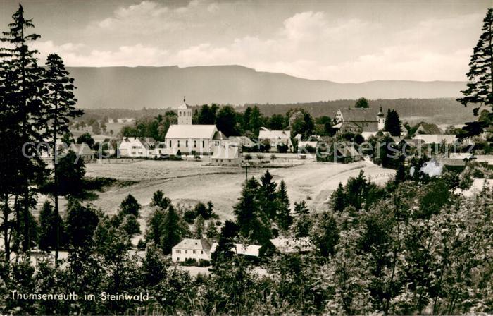 Thumsenreuth Erbendorf Ortsansicht