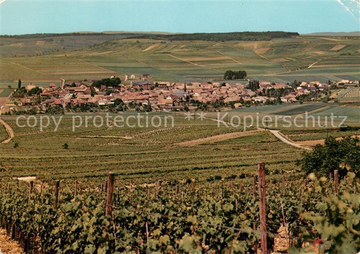 St Johann Rheinhessen Panorama