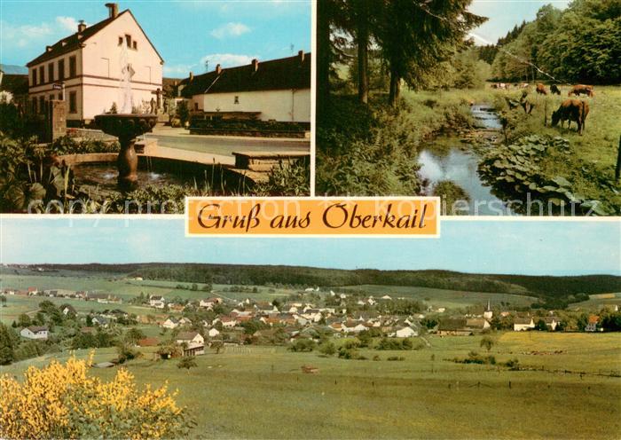 Oberkail Kaufhaus Hermann Viehherde Panorama