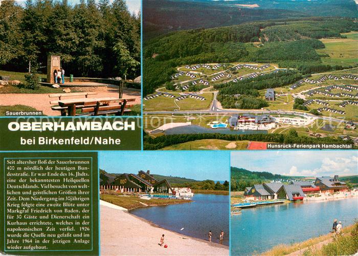 Oberhambach Birkenfeld Sauerbrunnen Hunsrueck Ferienpark Hambachtal Fliegeraufna