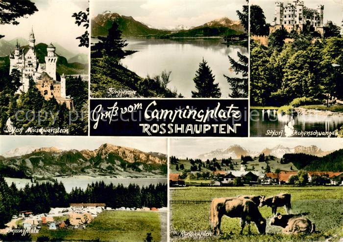 Rosshaupten Forggensee Schloss Neuschwanstein Forggensee Schloss Hohenschwangau