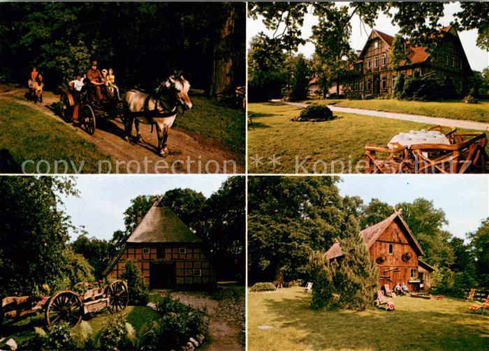 Bomlitz Pferdekutsche Juergenshof Parkpartien