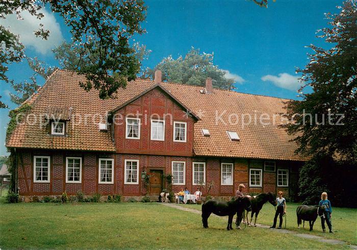 Mueden oertze Pension Muellernhof Ponyreiten