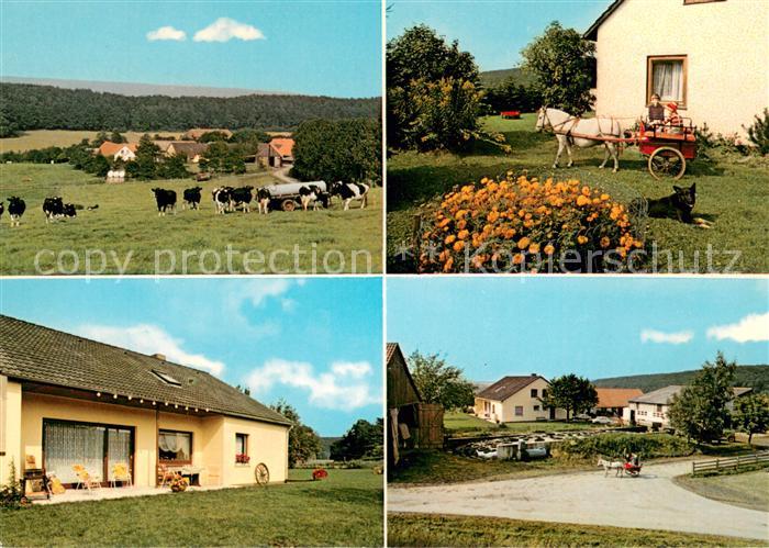 Auetal Panorama Pferdekutsche Bauernhof Details