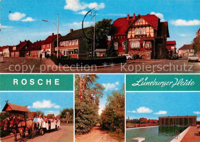 Rosche Uelzen Niedersachsen Strassenpartie Pferdewagen Allee Schwimmbad