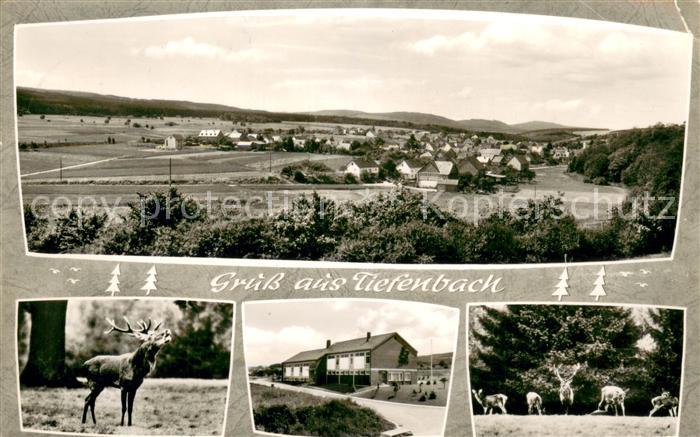 Tiefenbach Hunsrueck Panorama Hirsch Wild