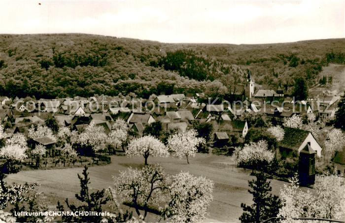 Schoenbach Dillkreis Gesamtansicht Luftkurort