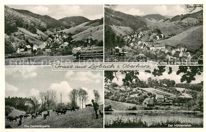 Lerbach Harz Panorama Blick von der alten Harzstrasse Damenkapelle Viehweide Kue