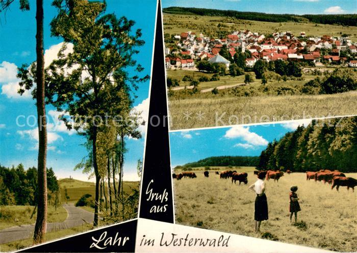 Lahr Limburg Gesamtansicht Tierherde Landschaftspanorama