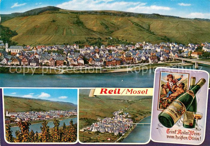 Reil Panorama Moseltal Weinberge Trinkspruch