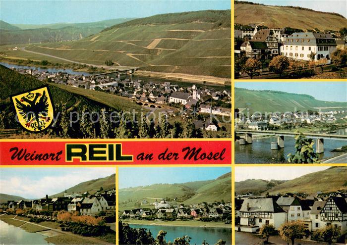 Reil Panorama Weindorf an der Mosel Weinberge Altstadt Bruecke