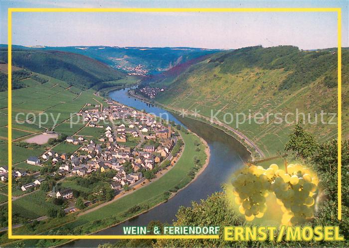Ernst Cochem Panorama Wein- und Feriendorf an der Mosel Weinberge