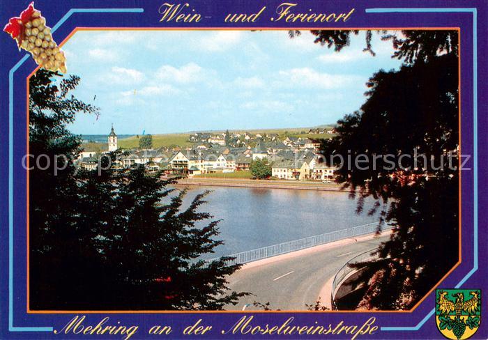 Mehring Mosel Panorama Blick ueber die Mosel Wein- und Ferienort