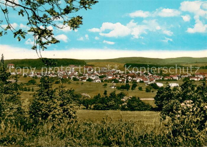 Waldernbach Panorama Erholungsort Sommerfrische