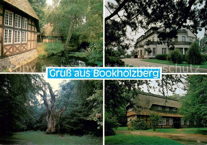 Bookholzberg Freizeitheim Hohenboeken Alte Anwesen Park Alter Baum