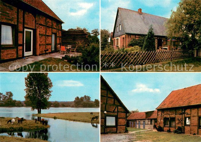 Damnatz Ferienhaeuser Landwirtschaftliche Anwesen Biospaerenreservat Elbtalaue