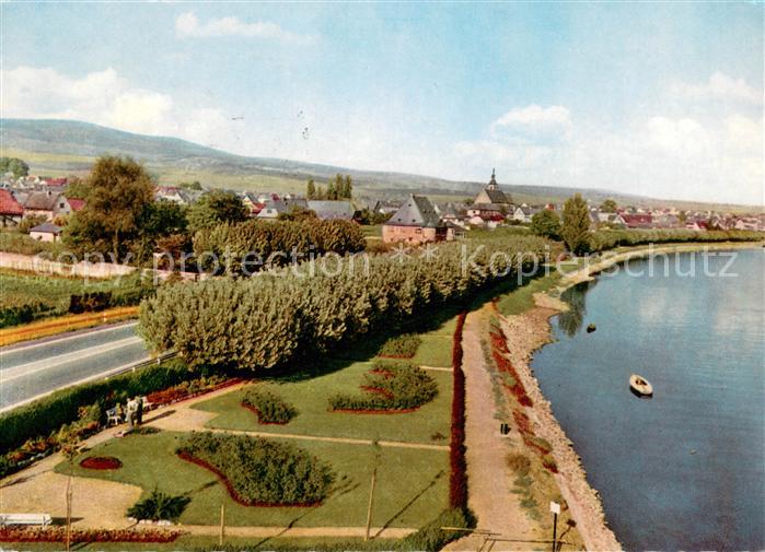 Winkel Oestrich-Winkel Panorama Rheinufer