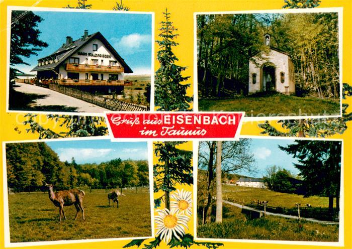Eisenbach Limburg Gaestehaus Pension Haus Waldfrieden Kapelle Tierpark Landschaf