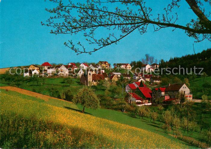Buchklingen Odenwald Ansicht mit Landheim des Elisabethgymnasiums
